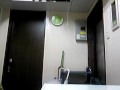 E-Flite BLADE mSR (JR PROPO) Doctor Heli iwata fire department Mr.yamagata paper craft part3.3gp