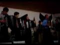 Alma-Algarvia-Festiv