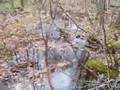 Help to Save Philipstown New York's class II Wetland OL-2