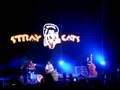 Stray Cats - heineken music hall A'dam 03 sept.2008