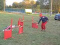 trening 2.10.-smoth collie-agility- Mouvie