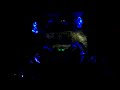 Giant animatronic spider - natural habitat - video 1 of 2