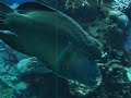 Nouméa Aquarium