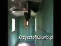 Szymbark Pociąg do nikąd