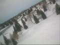 Multiplex Easy Star Winter Flight Multiplex Easy Star Winter Flight