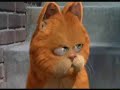 FastGarfield FastGarfield