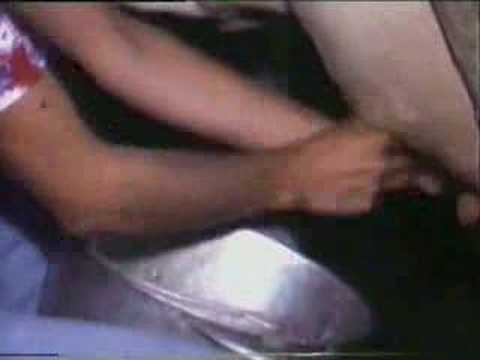 女性乳をしぼる牛