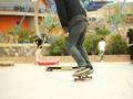 SkateFamilia y diversion