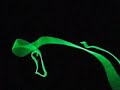 http://www.orbitlightshow.com for the best lights on the internet!

im messing around with 7' green strobe wire. its pretty cool... first time i really started playing with it. you can get them at orbitlightshow.com. the song is by dj dean - 