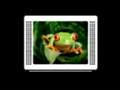 Sony Ericsson D750
