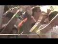 Superfeesten TV Extrema Outdoor 2007