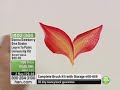 Donna Dewberry One Stroke Learn To Paint University Kit