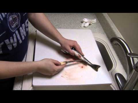 how to properly gut a trout