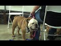 See video