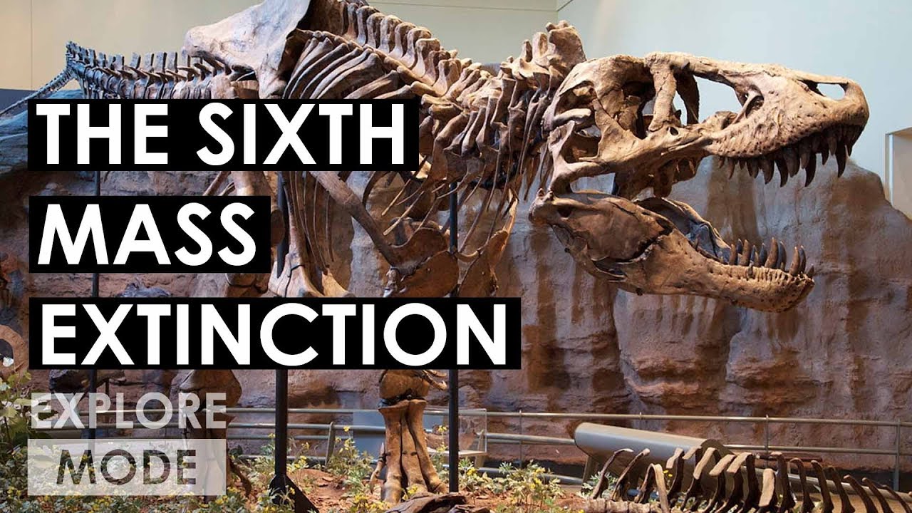 Exponential Growth: Bad in a Pandemic, Bad Economics if we Care about Climate and Mass Extinctions