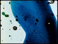 Comingled Containers, Stan Brakhage