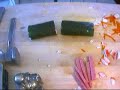 MR. COOK MAKES SUSHI! Part Two