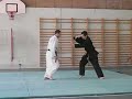 goshindo-traditionnel-denis-morgen.html