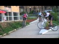 La TRANSMONTDO 2010