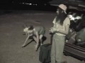 tour shit: texas edition