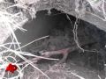 New Video Shows Ill. Cemetary Desecration