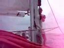 Snorkeling Sail in Kona, Hawaii Snorkeling Sail in Kona, Hawaii