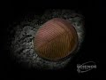 3of5    miracle planet   snow ball earth