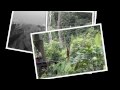 photo slideshow