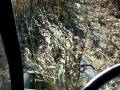 videos de MOV00064.MPG