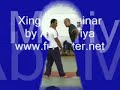 Xing Yi Seminar -  Abi