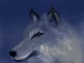 Wolf painting ds homebrew colors Image 1