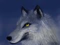 Wolf painting ds homebrew colors Image 2