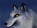 Wolf painting ds homebrew colors Image 3