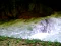 Semuc Champey Semuc Champey