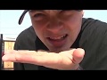 Bullet pellet catch magic illusion mentalism