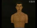 English Traditional Chinese Medicine Lesson acupuncture and moxibustionVI