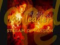 my leader_stream of passion