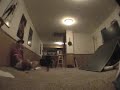Extreme Beer Pong 2