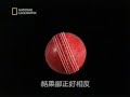 Cricket - Reverse Swing
