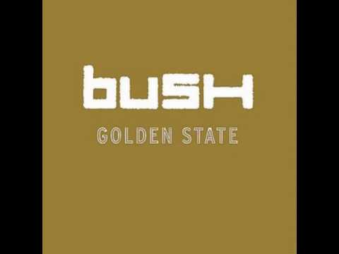 bush