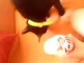 Catbook Movie: Milkshake Treat