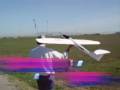 TorVergata volo di vari modelli radiocomandati