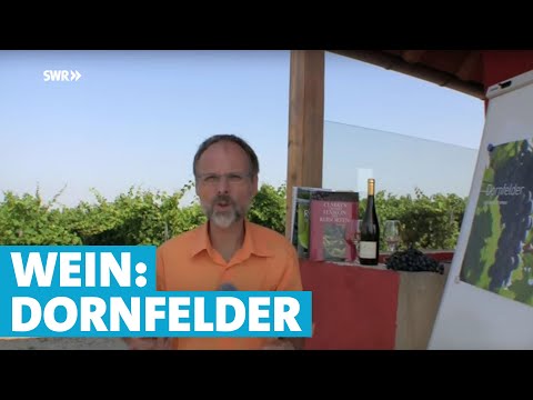 Werner erklärt Wein: Dornfelder