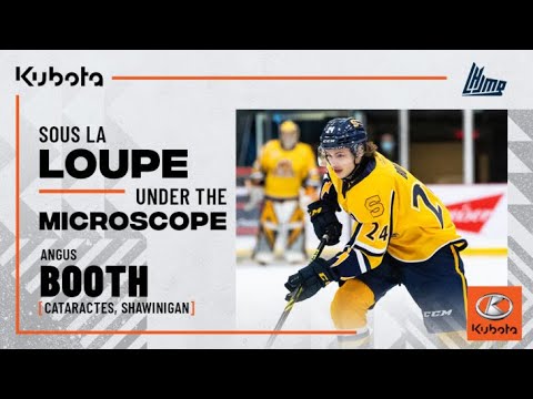 Under the miscroscope