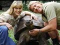 Steve Irwin Tribute
