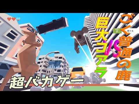 動画