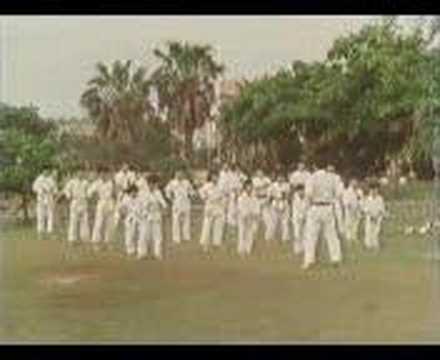 okinawa karate p2