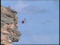videos de Crazy Flips At The Beach