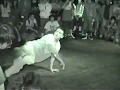 NON Bboy trickey