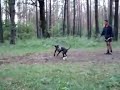 Fishing tackle of Pitbull Cracker